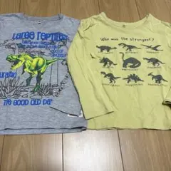恐竜デザイン長袖カットソー2枚セット　120