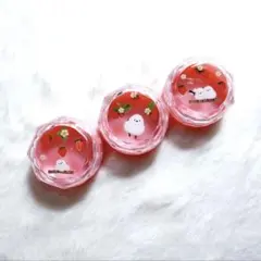 シマエナガ❁⃘*.゜レジンクリームケース イチゴ クリームケース♡小物入れ チョコミントカラーのシマエナガちゃん
