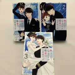 極上パイロットが愛妻にご所望です1〜3 全巻　完結