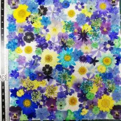 押し花素材　N968 ノースボール ビオラ 紫陽花　バーベナ 小花　 押し花