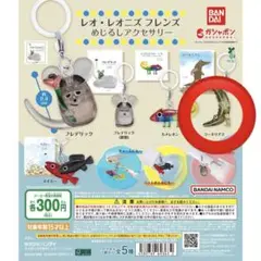 ガチャガチャ めじるしアクセサリー レオ・レオニズ フレンズ ガシャポン
