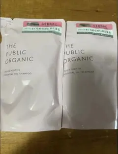 Item thumbnail for item 2a035899-9d3e-4dec-a047-f883f0f5c19c