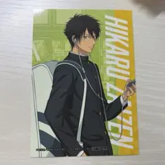 新テニスの王子様 テニプリ 手塚国光 タワレコ 特典 カード ブロマイド