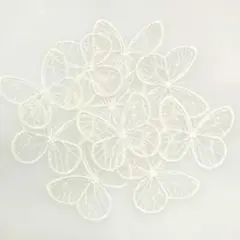 Item thumbnail for item eaf53b32-5a36-4a63-b7fe-3f9db044701d