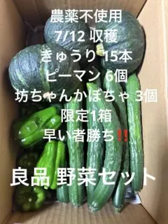 ②神奈川県産 農薬不使用 野菜セット きゅうり ピーマン 坊ちゃんかぼちゃ ！のサムネイル