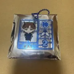 超特急 Real? プラスチックモデル風キーホルダー カイ