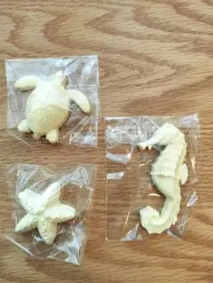 海の生き物 フィギュア 3種セット