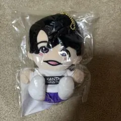 2026年最新】大西風雅 ちびぬいの人気アイテム - メルカリ