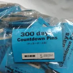 2002 FIFA World Cup カウントダウンピンズセット 限定品 - メルカリ