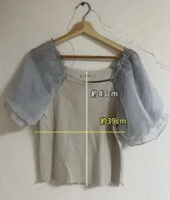 パフスリーブ シアー ニット 半袖 水色 グレー 春服 夏服のサムネイル