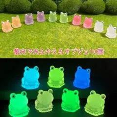 蓄光 置物