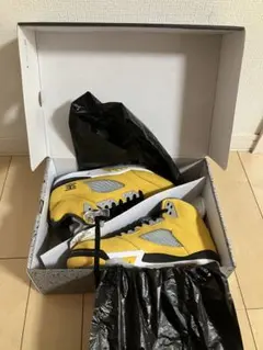 Nike Air Jordan 5 Retro 