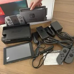 Nintendo Switch / microsdカード・箱付き