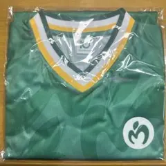 Mrs. GREEN APPLE 10 Tシャツ