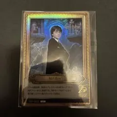 ハリー・ポッター カード pt☆ partner パラレル 激レア - メルカリ