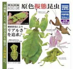 原色擬態昆虫 ガチャ 5個