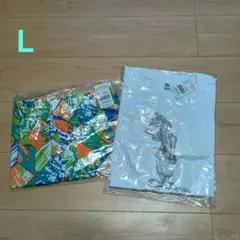 Item thumbnail for item 601c53c5-5173-4960-b925-a8ab7391bfd6