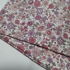 Item thumbnail for item f61fae90-fd86-4acd-aae3-8bbd3393e060