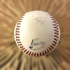 Item thumbnail for item ffefe317-e848-4c34-91f3-4586a1610238