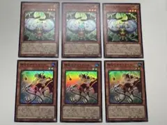 【遊戯王】静寂のサイコガール　メンタルプロシージャー　スーパーレア　各3枚