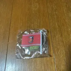 Jリーグフラッグキーチェーンコレクション 浦和レッズ