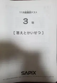 ㉓さ 希少‼️ サピックス SAPIX 3年 7月復習テスト 年間テスト - メルカリ