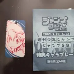 家庭教師ヒットマンREBORN! リボーン！　ジャンプフェア2009　沢田綱吉