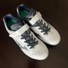 Item thumbnail for item 8844410d-2f3a-4720-9607-a7044fb20bc8