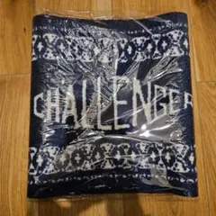 2026年最新】CHALLENGER ラグ・カーペット・マットの人気アイテム