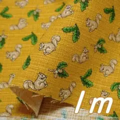 １ｍ＊幅110cm●布 リス どんぐり 栗鼠と団栗 綿 変織りマスタード