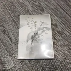 嵐/ARASHI 10-11 TOUR\