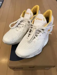 アシックス　バスケットシューズ(27.0)【河村モデル】 アンプレアルス Low