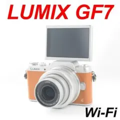 ❤️シャッター数わずか204枚❤️Wi-Fi &自撮り❤️LUMIX GF9 - メルカリ