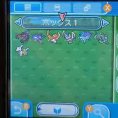 サン 配信ポケモン
