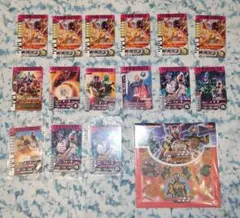 ガンバライジング カードセット 17枚