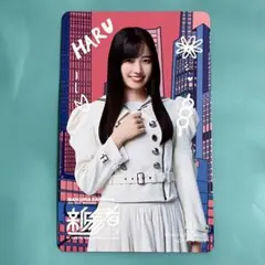 新参者 二〇二五 オリジナルメンバーソロ絵柄カード　櫻坂46　勝又春