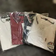 Item thumbnail for item 2fed4aa2-8b6d-46fe-af09-5c2168ad52ce