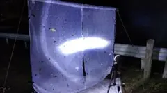 Item thumbnail for item 9a891782-36f6-46f8-922e-f3710437f161