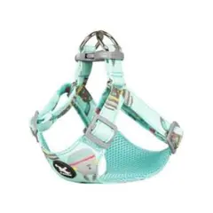 Item thumbnail for item a37c3094-2fec-4e86-bb56-c0649dea0d8e