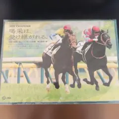 2021年 JRA 競馬 壁掛けカレンダー