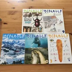 2025年最新】たくさんのふしぎの人気アイテム - メルカリ