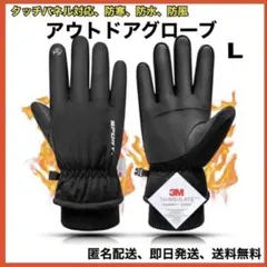 Item thumbnail for item 286f72f4-7bfe-4075-a859-38dffbcfe89a