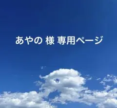 あやの様 専用ページ ブレスレット 2点