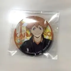 ハイキュー 日向翔陽 缶バッジ