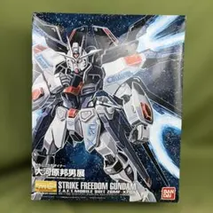 2026年最新】MG ストライクフリーダム 大河原邦男の人気アイテム