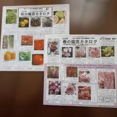 Item thumbnail for item c1af5982-9dd8-4c79-af1a-f58bba6105ca