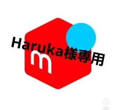 Haruka様専用