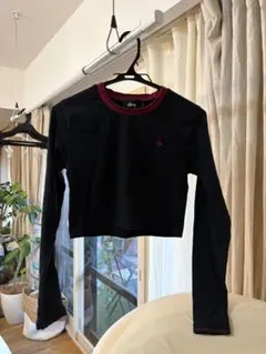 STUSSY 長袖Tシャツ