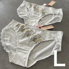 アモスタイル　トリンプ　ショーツ　Ｌ　⑨