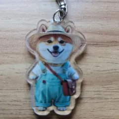 新品未使用で可愛い柴犬 アクリルキーホルダー